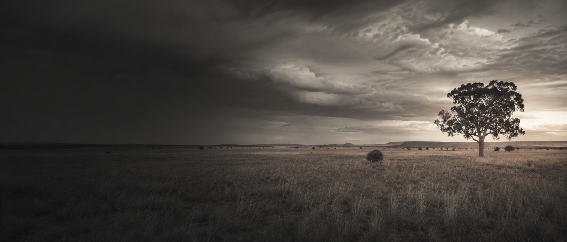Australian agricultural landscape